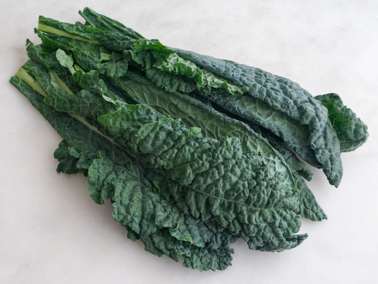 Fai la tua spesa online di qualità su Vivery direttamente dai piccoli negozi di Milano e ricevi in giornata Cavolo nero. Vivery è il tuo fruttivendolo online di qualità, dove trovi la migliore verdura come cavolfiori, lattuga riccia, radicchio, zucca delica, patate olandesi e tanto altro. Scopri su Vivery la nostra frutta e verdura online. Consegna in giornata e al piano in tutta Milano!