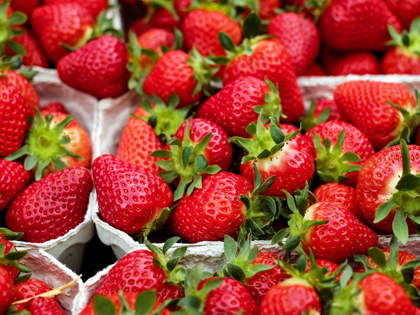 Fai la tua spesa online di qualità su Vivery direttamente dai piccoli negozi di Milano e ricevi in giornata Fragole Italia. Vivery è il tuo fruttivendolo online di qualità, dove trovi la migliore frutta come arance, clementine, mandarini, castagne, uva e tanto altro. Scopri su Vivery la nostra frutta e verdura online. Consegna in giornata e al piano in tutta Milano!