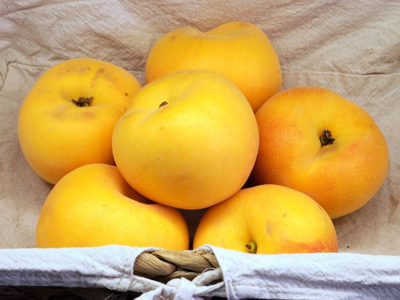 Fai la tua spesa online di qualità su Vivery direttamente dai piccoli negozi di Milano e ricevi in giornata Pesche percoche. Vivery è il tuo fruttivendolo online di qualità, dove trovi la migliore frutta come arance, clementine, mandarini, castagne, uva e tanto altro. Scopri su Vivery la nostra frutta e verdura online. Consegna in giornata e al piano in tutta Milano!