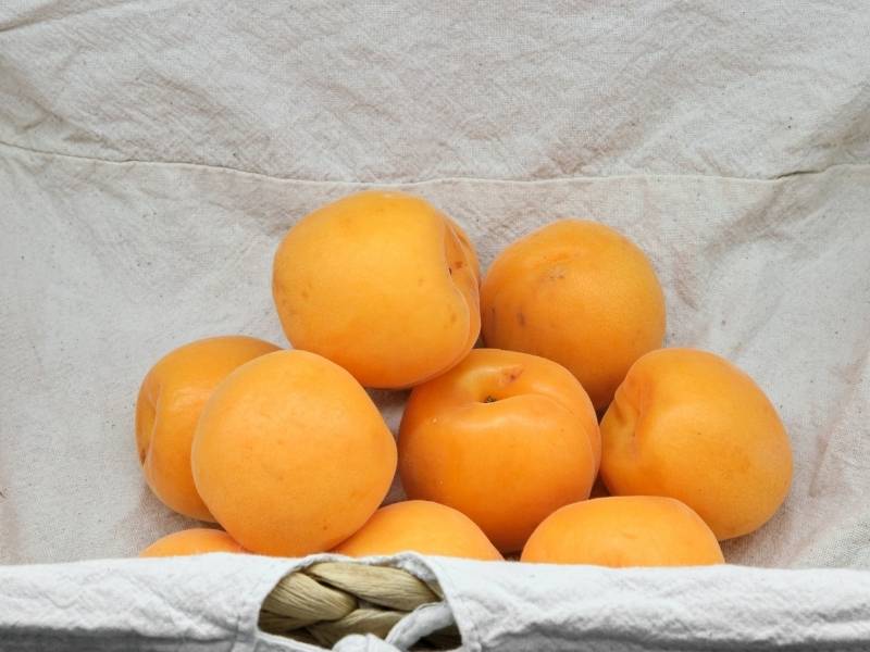 Fai la tua spesa online di qualità su Vivery direttamente dai piccoli negozi di Milano e ricevi in giornata Albicocche. Vivery è il tuo fruttivendolo online di qualità, dove trovi la migliore frutta come arance, clementine, mandarini, castagne, uva e tanto altro. Scopri su Vivery la nostra frutta e verdura online. Consegna in giornata e al piano in tutta Milano!