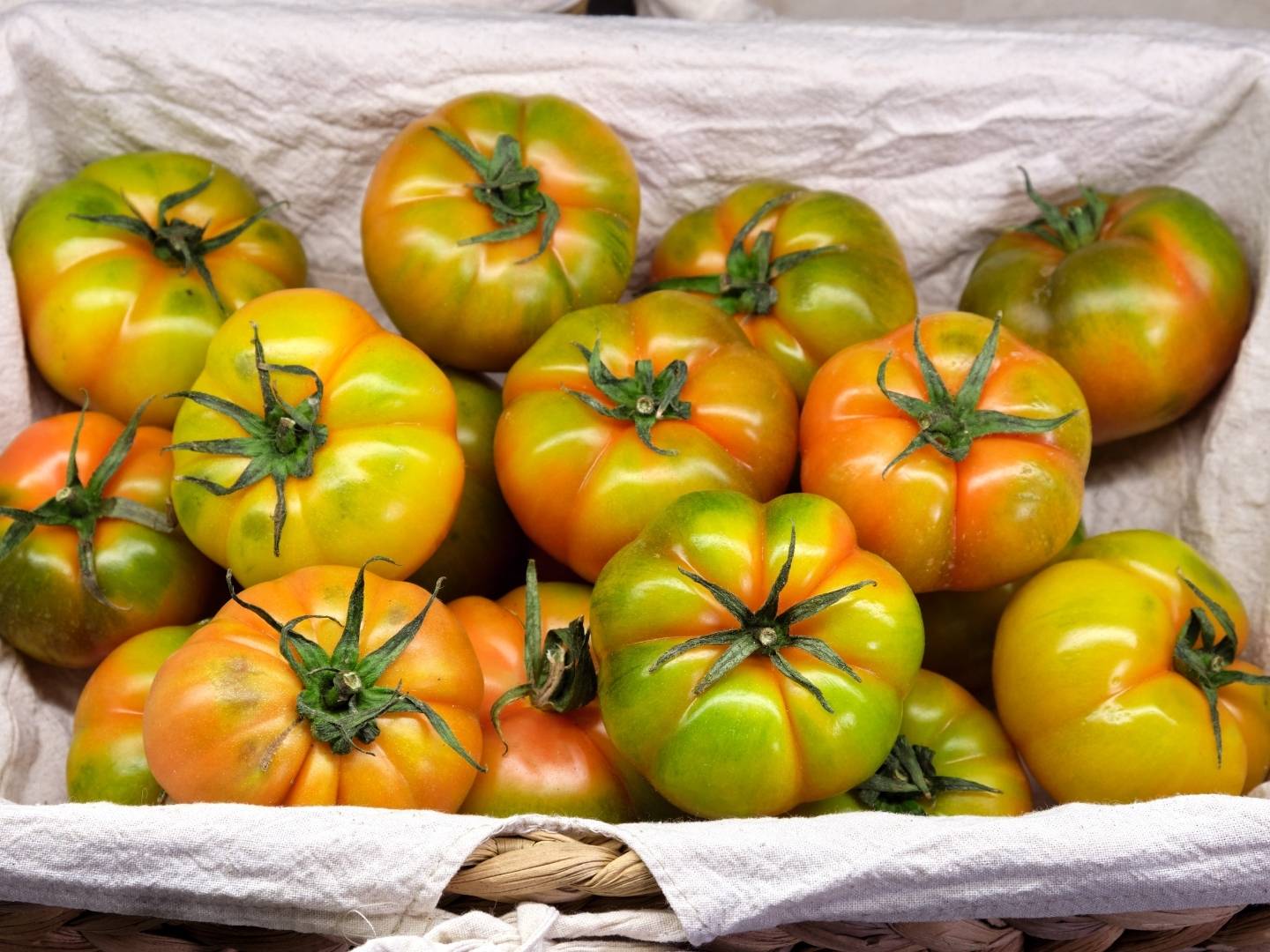 Fai la tua spesa online di qualità su Vivery direttamente dai piccoli negozi di Milano e ricevi in giornata Pomodori Marinda. Vivery è il tuo fruttivendolo online di qualità, dove trovi la migliore verdura come cavolfiori, lattuga riccia, radicchio, zucca delica, patate olandesi e tanto altro. Scopri su Vivery la nostra frutta e verdura online. Consegna in giornata e al piano in tutta Milano!