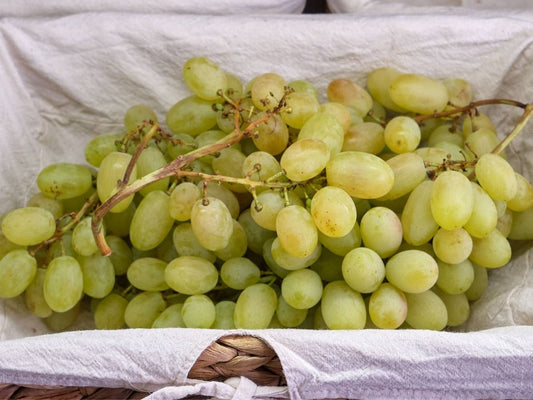 Fai la tua spesa online di qualità su Vivery direttamente dai piccoli negozi di Milano e ricevi in giornata Uva Pizzutella. Vivery è il tuo fruttivendolo online di qualità, dove trovi la migliore frutta come arance, clementine, mandarini, castagne, uva e tanto altro. Scopri su Vivery la nostra frutta e verdura online. Consegna in giornata e al piano in tutta Milano!