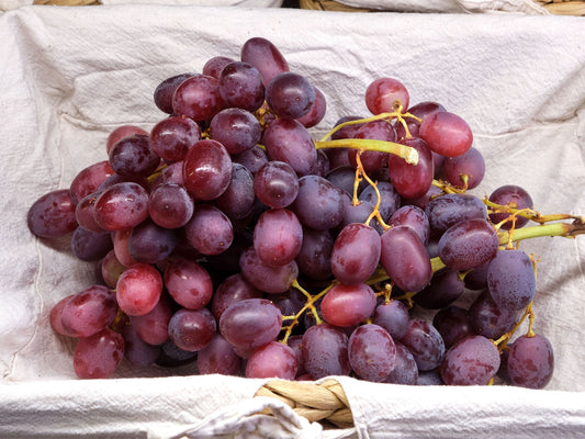 Fai la tua spesa online di qualità su Vivery direttamente dai piccoli negozi di Milano e ricevi in giornata Uva nera senza semi. Vivery è il tuo fruttivendolo online di qualità, dove trovi la migliore frutta come arance, clementine, mandarini, castagne, uva e tanto altro. Scopri su Vivery la nostra frutta e verdura online. Consegna in giornata e al piano in tutta Milano!